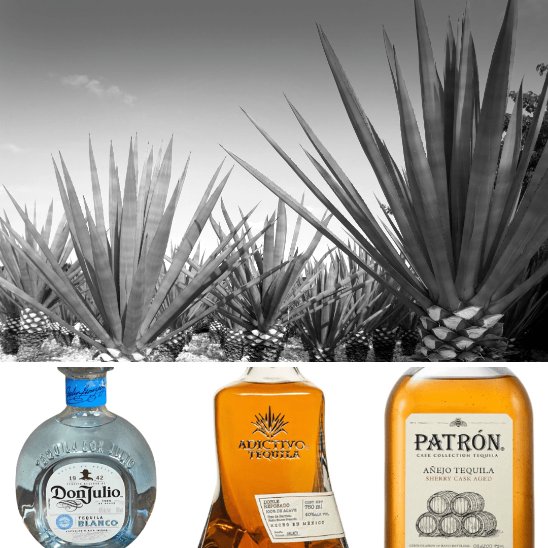 Types of Tequila: Understanding Blanco, Reposado, Añejo, and Extra Añejo - Keg N Bottle