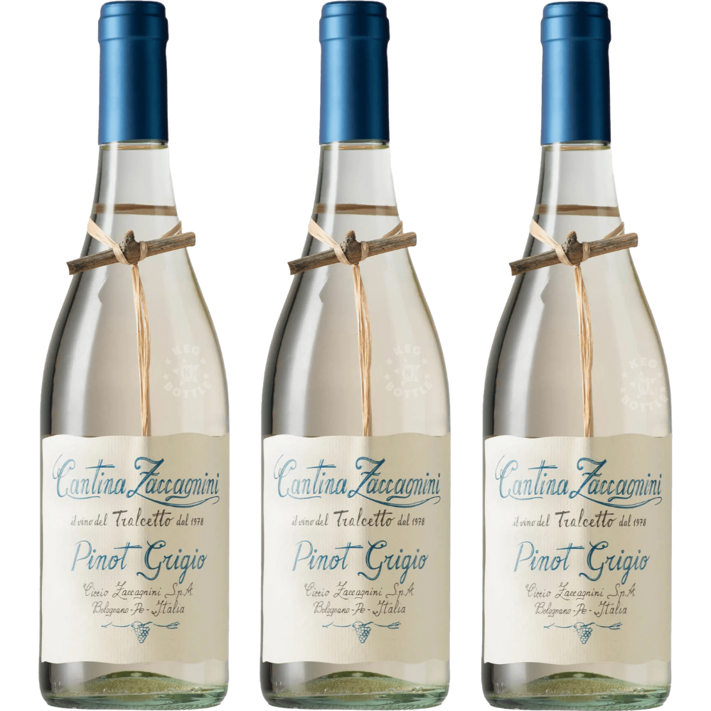 Cantina Zaccagnini Pinot Grigio Terre d'Abruzzo Wine 3-Pack 750mL Bottles Italian White Wine Bundle from Abruzzo Italy