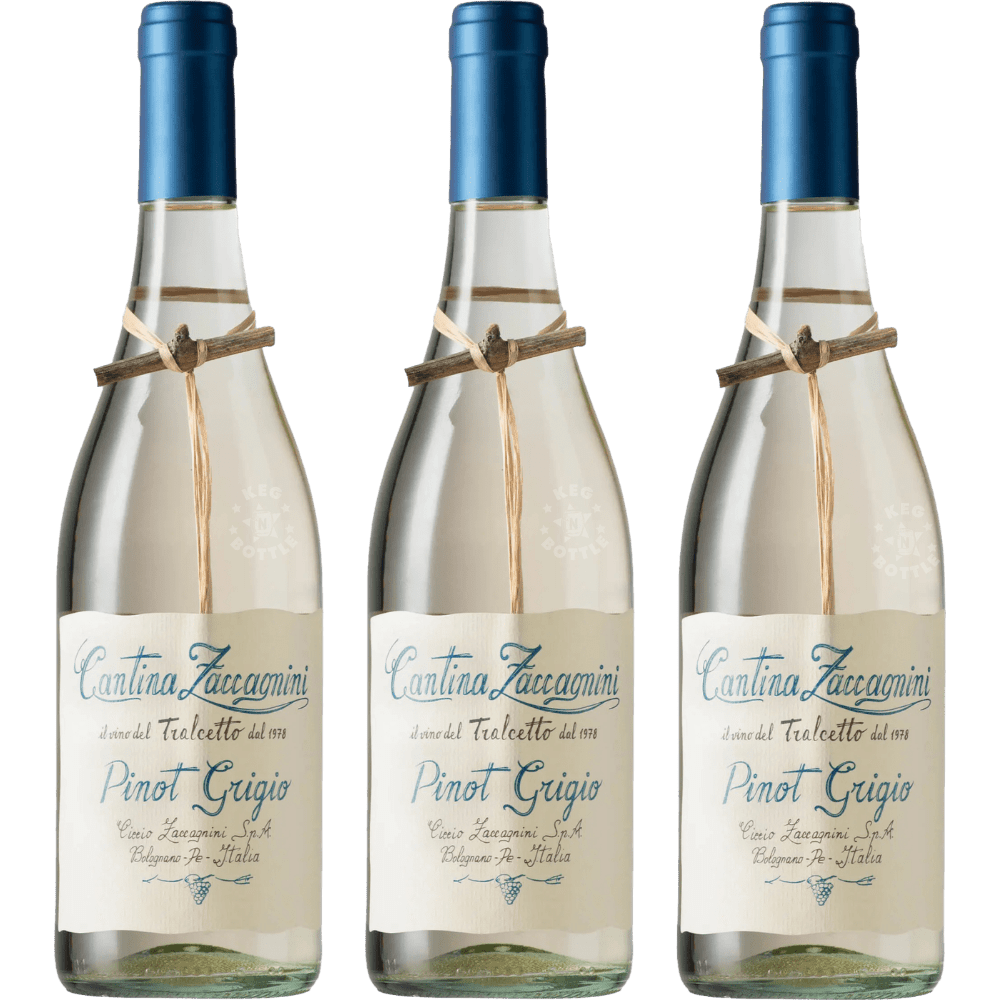 Cantina Zaccagnini Pinot Grigio Terre d'Abruzzo Wine 3-Pack 750mL Bottles Italian White Wine Bundle from Abruzzo Italy