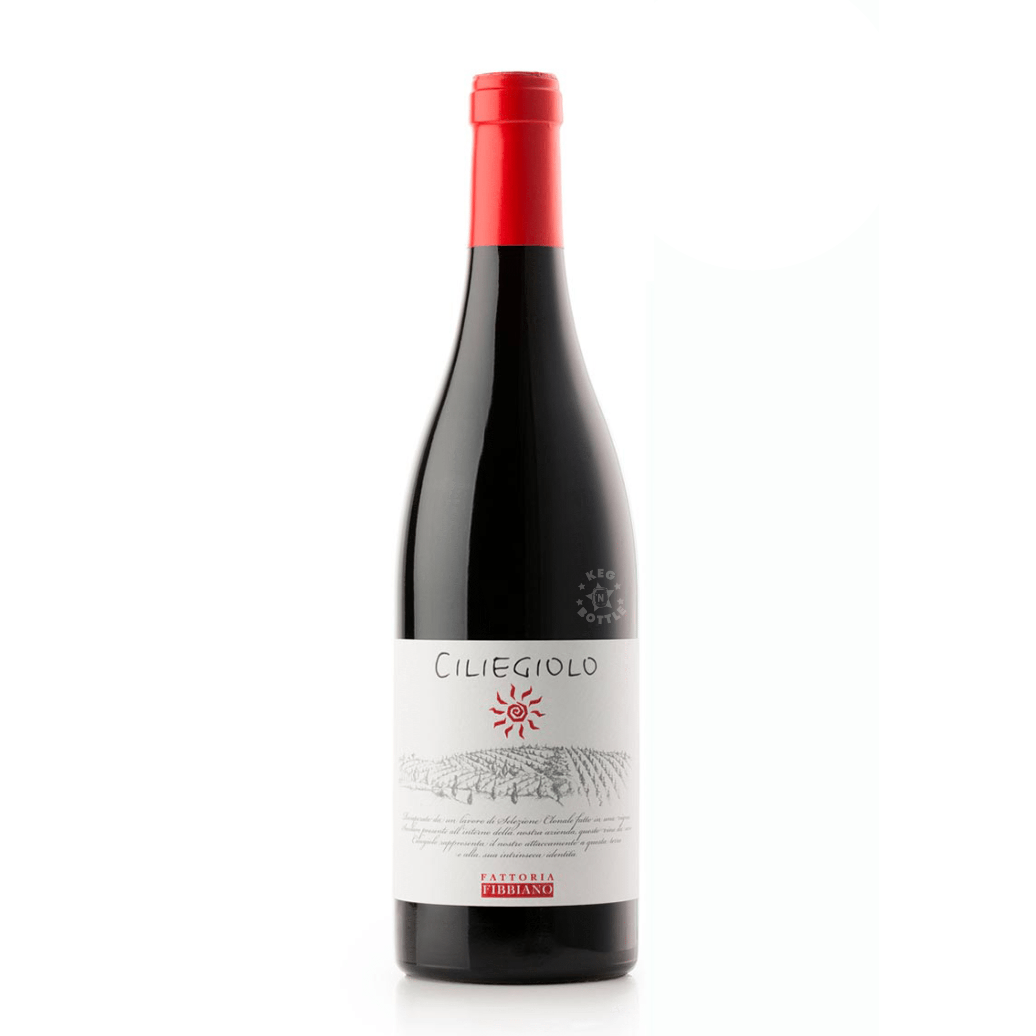 Fattoria Fibbiano - Ciliegiolo - Toscana 750 mL - Keg N Bottle