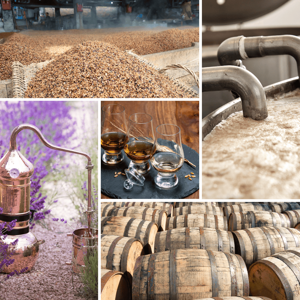Whisky Fermentation Process