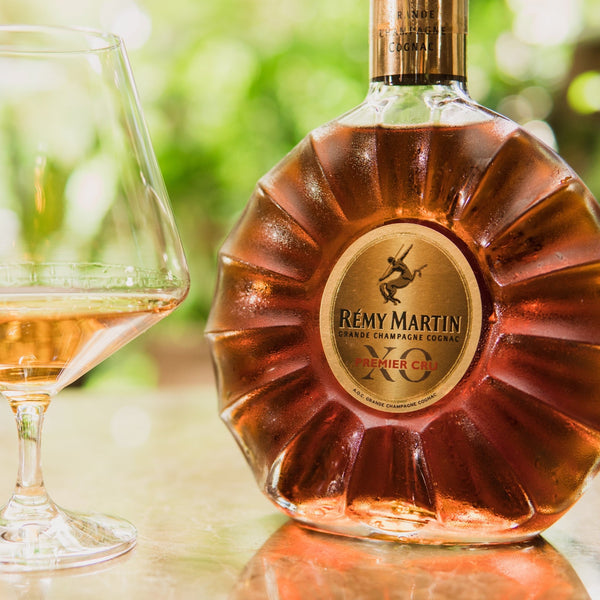 ブランデー maruon IYOKAN BRANDY Special Grade Premium Brandy - Aged & Refined | Keg N Bottle