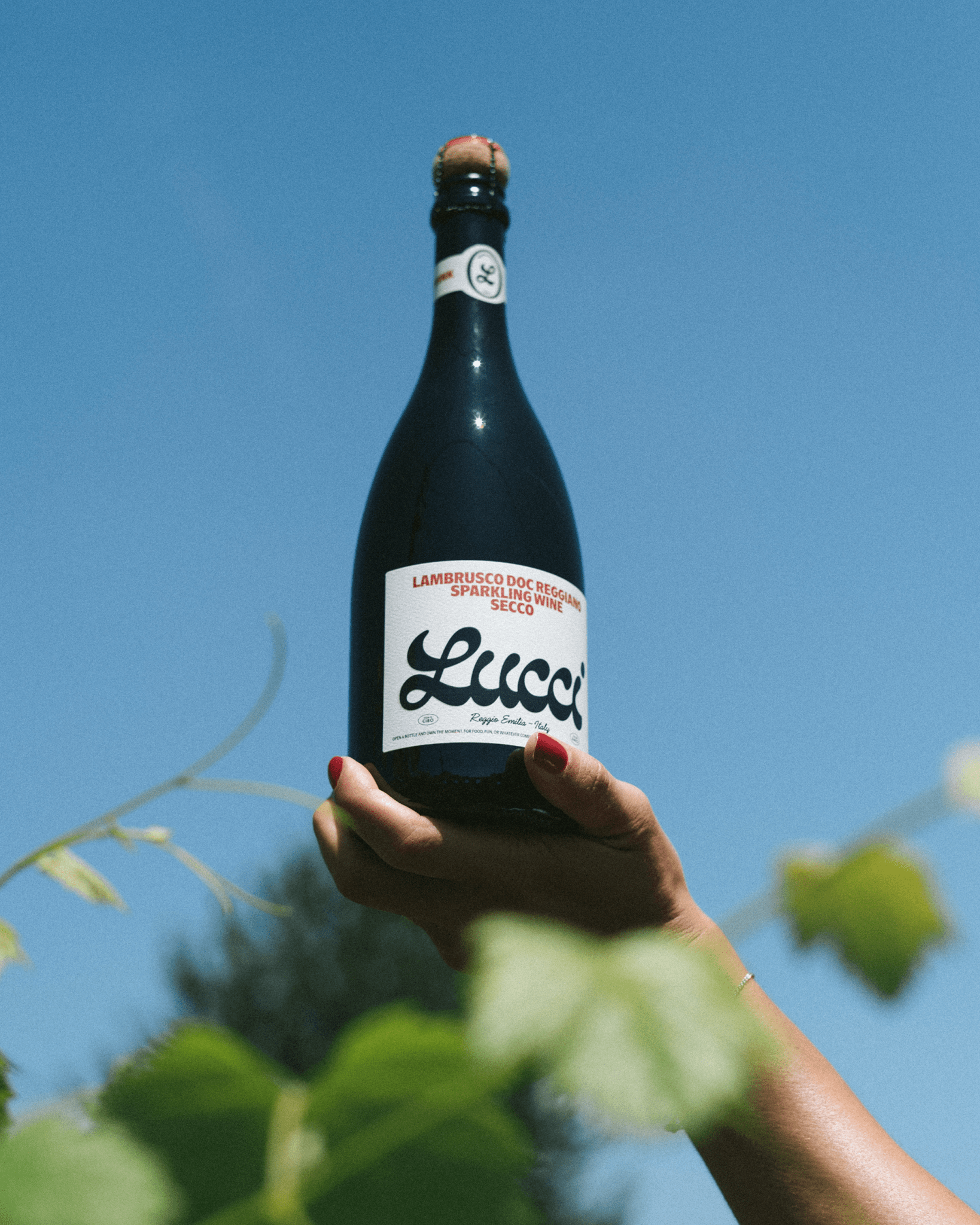 Ashley Graham x Lucci Lambrusco DOC Reggiano (750mL) | Keg N Bottle