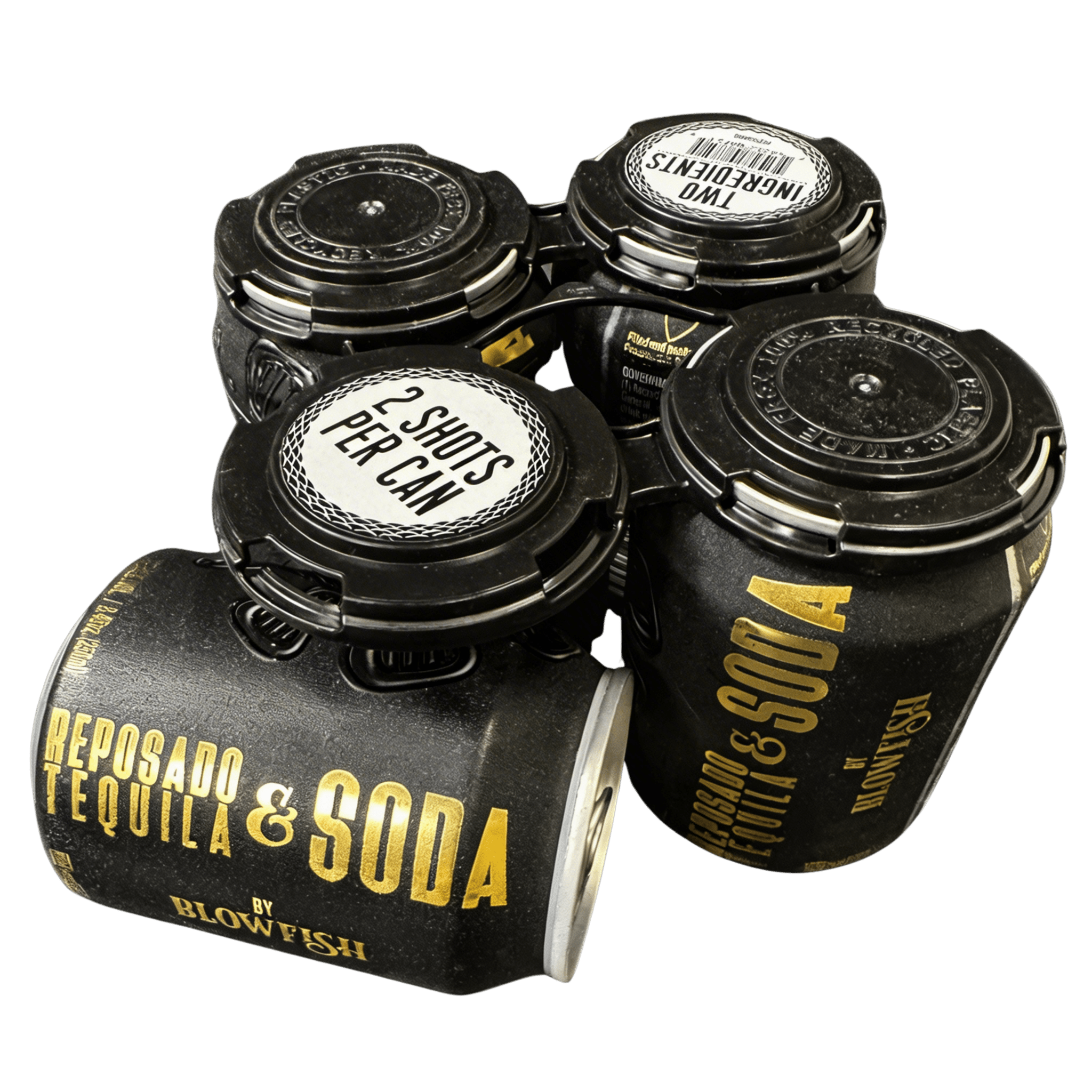 BlowFish Reposado Tequila & Soda RTD (4 x 250 ml) | Keg N Bottle