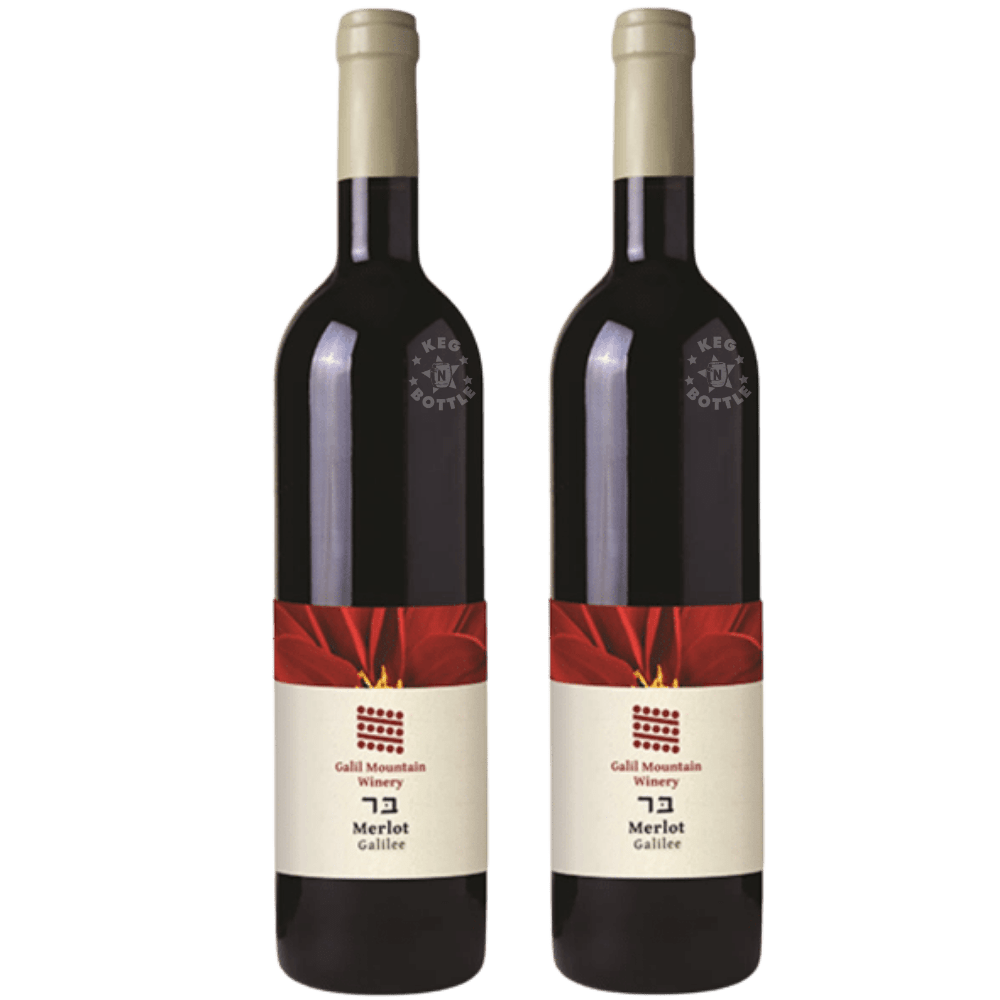 Galil Mountain Merlot Galilee Wine - Pack of 2 (2x750mL) | Keg N Bottle