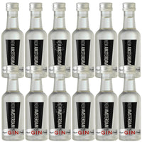 New Amsterdam Stratusphere Gin 12 Pack - (12x50ML)