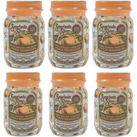 Sugarlands Shine Mark Rodgers' Peach Moonshine Miniatures (6 x 50 ml)
