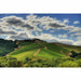 Daou - Bodyguard - Chardonnay | Keg N Bottle