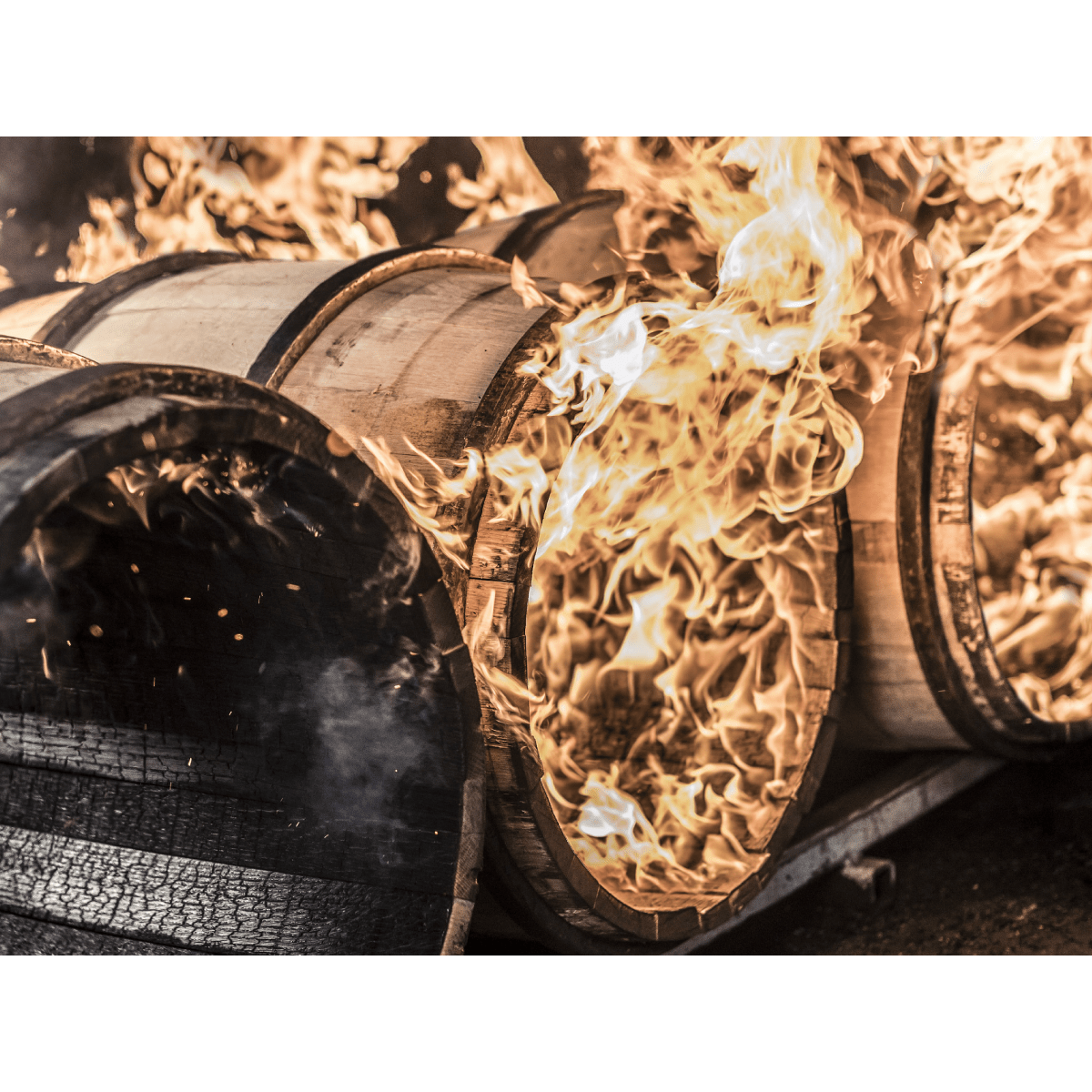 Ezra Brooks Single Barrel Bourbon (Barrel - 7426887 - DR. OCTOPUS) - Bourbon Pursuit & Keg N Bottle Private Barrel Pick 750 ml | Keg N Bottle