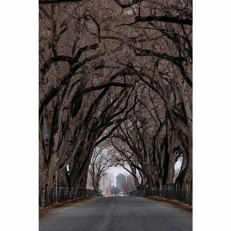 Frey Ranch Straight Bourbon Whiskey (750 ml) | Keg N Bottle