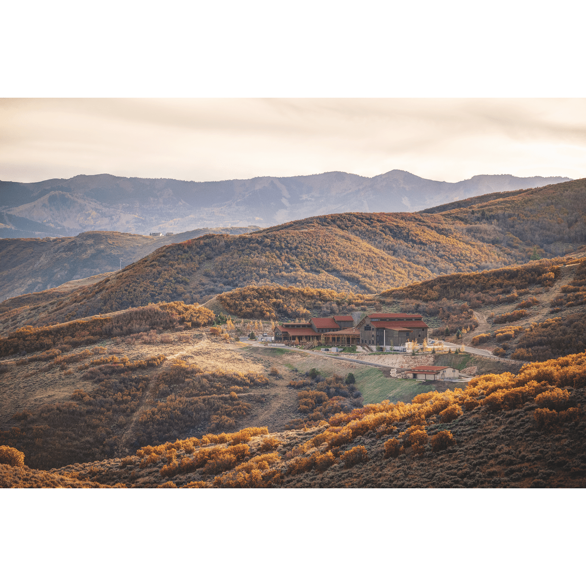 High West American Prairie Bourbon Brandy Finished Barrel Pick | Keg N Bottle