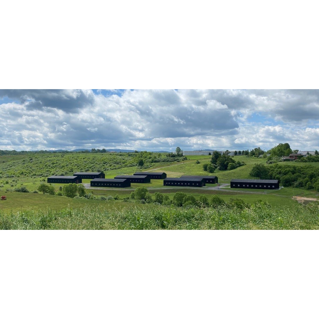 Old Scout Single Barrel Bourbon (FIELD OF FLOWERS - Barrel #36436) - Bourbon Pursuit & Keg N Bottle Barrel Pick 750 ml | Keg N Bottle